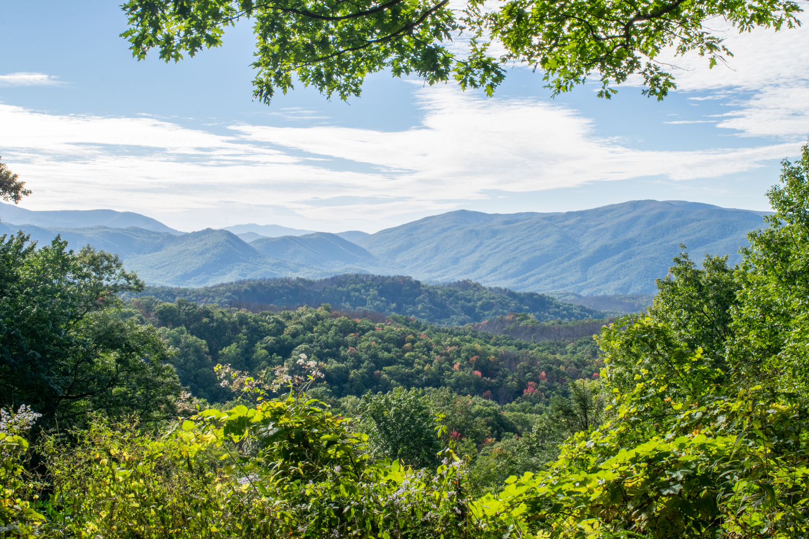 great smoky mountains