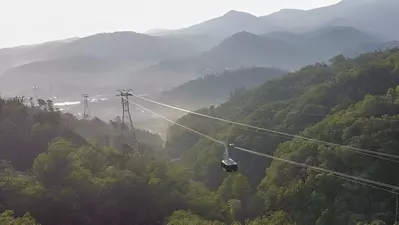 ober tram copy